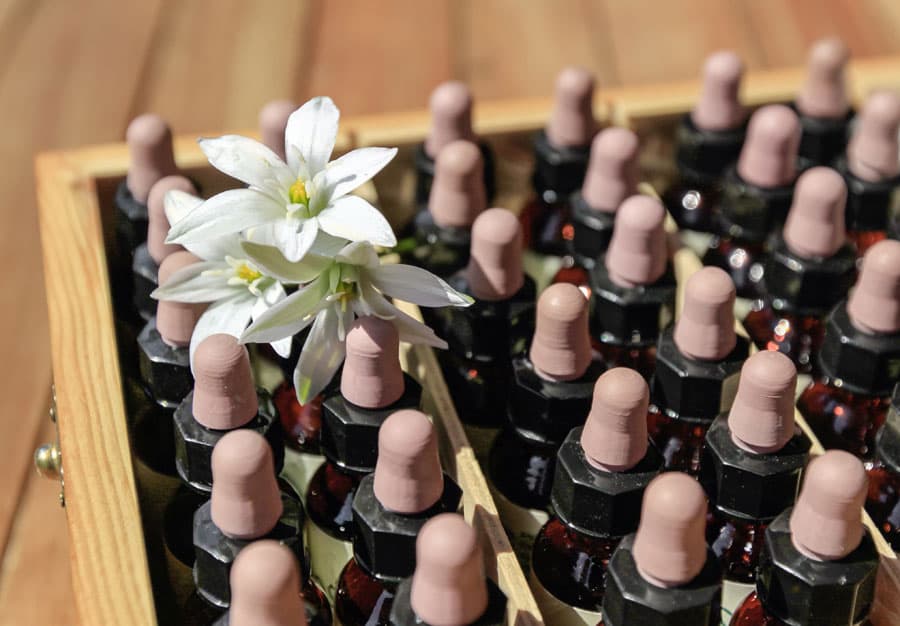 Conoce todos los tratamientos capilares que tenemos para ti en Vigo